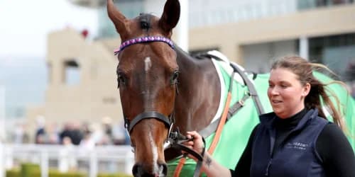 ‘He thinks life is fantastic’ – Paisley Park loving his retirement