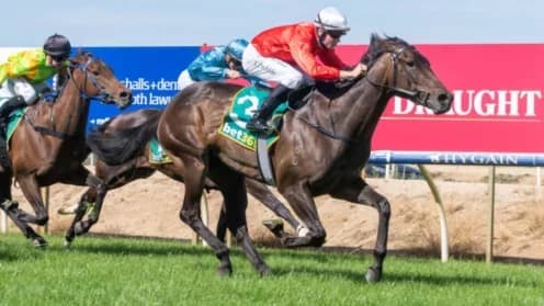 Wings of Song Set for Comeback at Cranbourne Racecourse