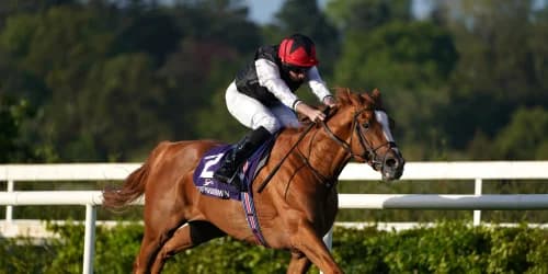 Kyprios facing 11 potential rivals as he bids to regain Gold Cup crown at Royal Ascot