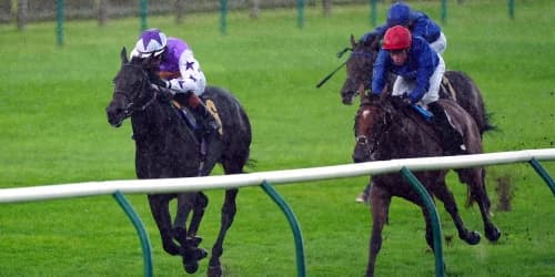 Seacruiser Sparks Classic Hopes After Commanding Newmarket Victory