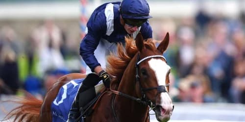 “From York to Deauville: Can Economics Repeat His Dante Stakes Magic?”