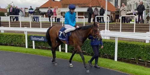 The Waco Kid Steals the Show How He Left Diego Ventura and Monumental in the Dust