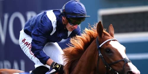 "This is the main focus," says Haggas, who is prepared to unleash economics.