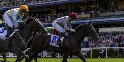 Simmering Camp Eyes Paris and Del Mar Targets