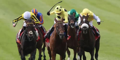 Fanshawe favouring drop in trip for gallant Ambiente Friendly