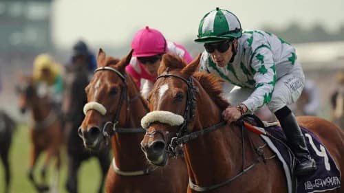 Strikin Viking Eyes Second York Win in Gimcrack Stakes Showdown