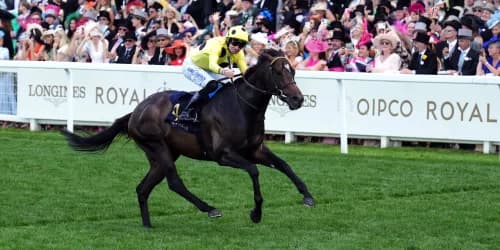 Inisherin freshened up and raring to go in search of Sprint Cup glory