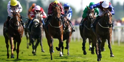 Bellarchi backed to make her presence felt at Epsom