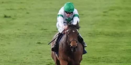 "After Prix de Diane Glory, Tamfana Aims for Atalanta Stakes Triumph"