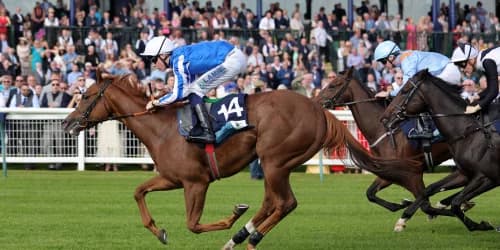 Billy Loughnane Shines with Hat-Trick Triumph at Ayr