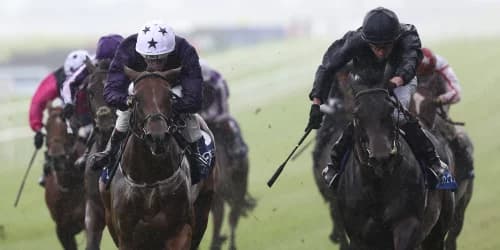 "From Near Misses to Triumph? California Dreamer Steps Up for Moyglare Showdown"