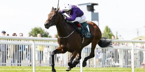 Bucanero Fuerte ruled out of Commonwealth Cup