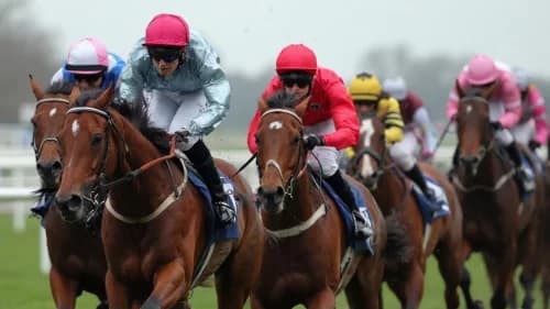 "Big Evs Eyes Redemption in Nunthorpe Stakes at York"