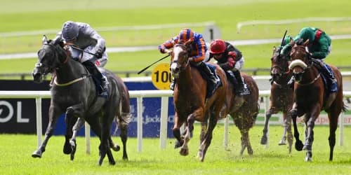 Burke hopeful of late-season campaign with Fallen Angel