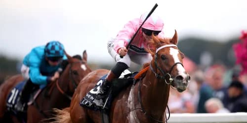 Sandown Charge still on the agenda for Live In The Dream