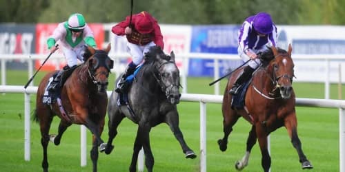 Memories of ‘phenomenal’ Roaring Lion still burn brightly for Murphy