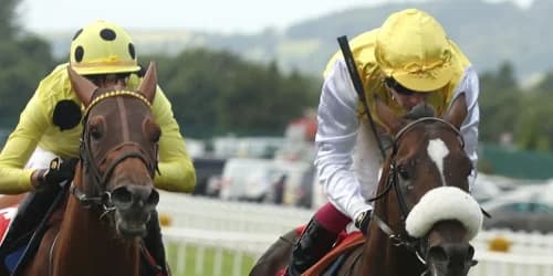 Irish Derby runner-up Sunway primed for King George challenge