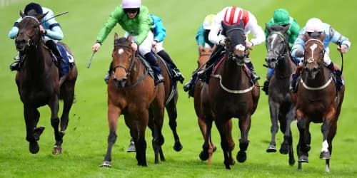 James Tate keen to keep options open for Royal Dress