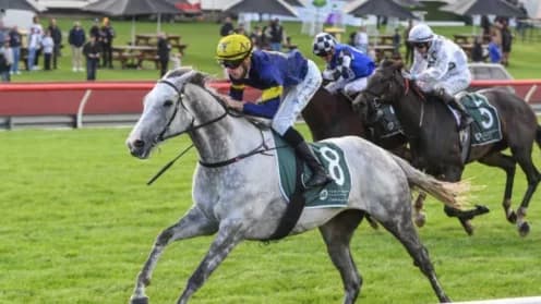 White Marlin Poised for Comeback in 2025 After Injury