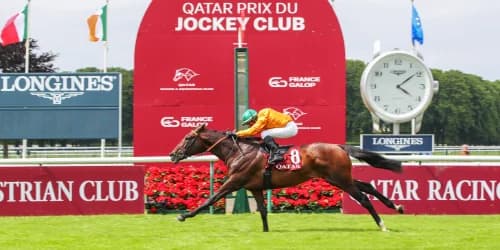 Ballylinch and Al Shaqab snap up Arc favourite Look De Vega