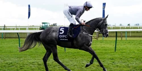 Fallen Angel’s Next Chapter: Classic Winner Prepares for Matron Stakes Comeback