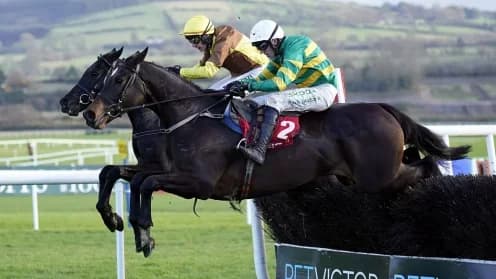 Fact To File Triumphs in Thrilling John Durkan Memorial Chase