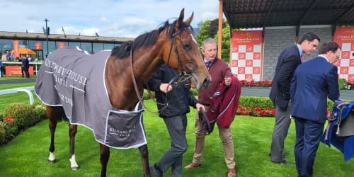 Lake Victoria adds to Ballydoyle juvenile riches at the Curragh