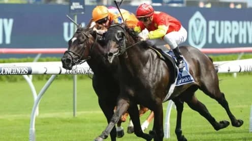 Pride's Coal Crusher Defends Title at The Hunter 2023