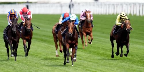 Rashabar Eyes Seven Furlong Test with 2000 Guineas in Sight for Ascot Sensation