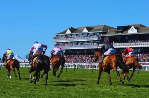 Ayr Racecourse: Scotland’s Premier Racing Venue