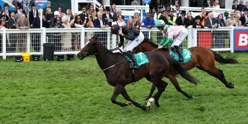 Dash star Dream Composer poised for Wokingham encore