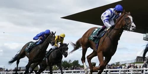 Seagulls Eleven Eyes Group One Comeback After Courageous Curragh Run