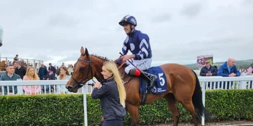 Miss Lamai leads successful British raid on Naas prizes