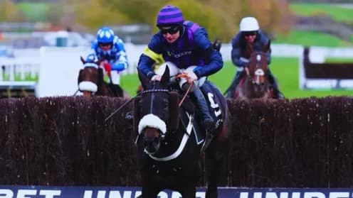 Tragic Losses at Cheltenham: Three Horses Die in Races