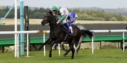 Hills hopes to win big at Kentucky Downs once more