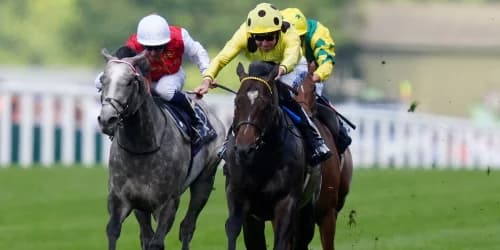Inisherin Among 22 Entries for Betfair Sprint Cup at Haydock