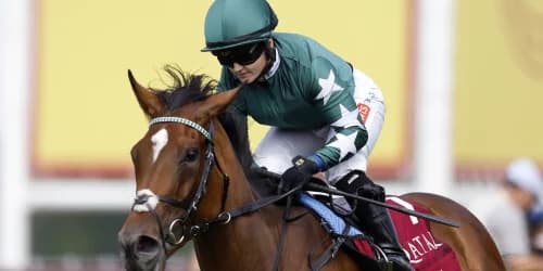 "Nashwa's Triumphant Return: Can the Star Mare Reclaim Her Crown?"