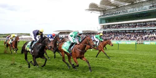 Woodhay Wonder bidding to plunder another big prize