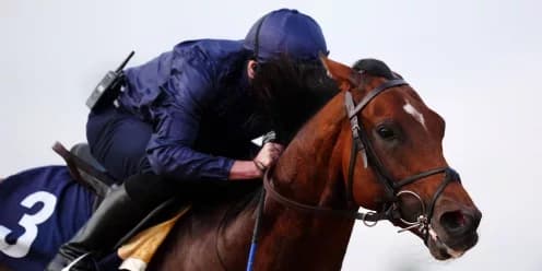 City Of Troy Primed to End European Drought in Breeders’ Cup Classic