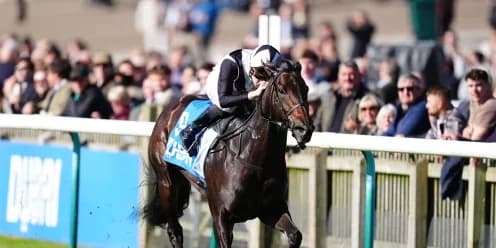 Coto De Caza Triumphs in Cornwallis Stakes Thriller