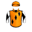 Solar Surfer