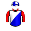 Brave Voyager