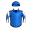 Repaynt