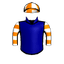 Amelias Echo