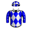 Speedy Mobile