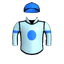 Internal Capital