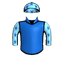 The Blaggard