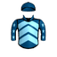 Fleetfoot