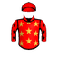 Flying For Triumph