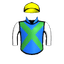 Raybiya